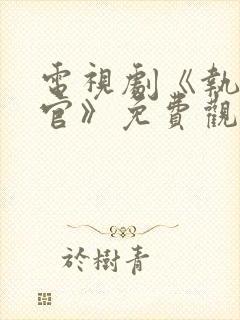 电视剧《执行法官》免费观看