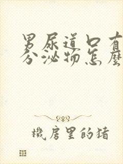 男尿道口有黄色分泌物怎么回事