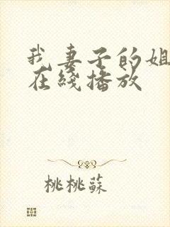 我妻子的姐姐3在线播放