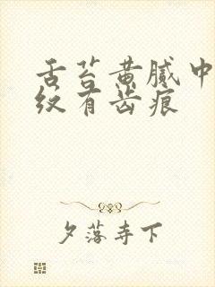 舌苔黄腻中间裂纹有齿痕