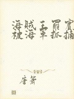 海贼王罗宾娜美被海军抓捕的漫画在