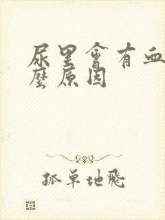 尿里会有血是什么原因封面