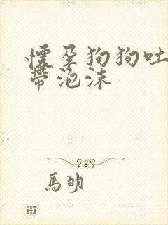 怀孕狗狗吐黄水带泡沫