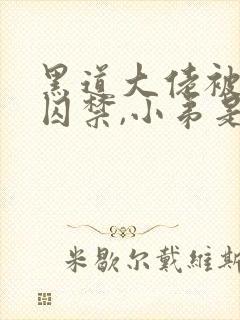 黑道大佬被小弟囚禁,小弟是攻小说封面