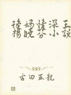 后妈情深王磊与杨晓芬小说