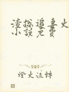 渣总追妻火葬场小说免费