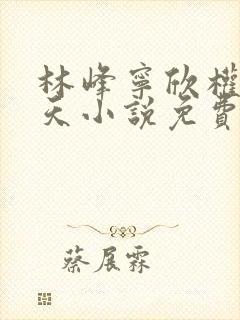 林峰宁欣权势滔天小说免费阅读