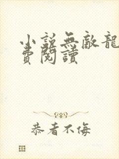 小说无敌龙帅免费阅读