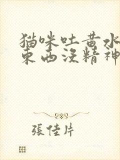 猫咪吐黄水不吃东西没精神