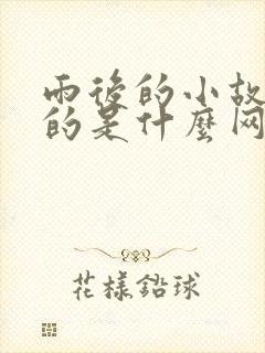 雨后的小故事说的是什么网站