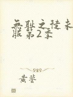 无耻之徒未删减版第2季