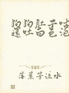 狗狗肚子咕咕叫还吐白色泡沫