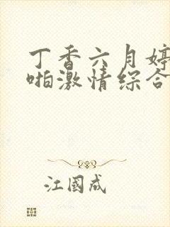 丁香六月婷婷啪啪激情综合