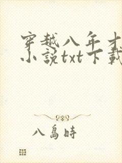 穿越八年才出道小说txt下载