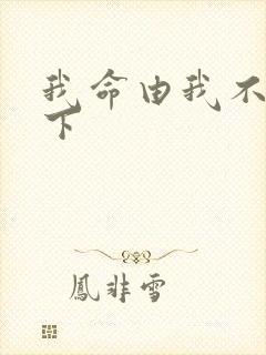 我命由我不由天下封面