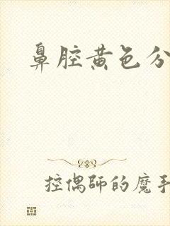 鼻腔黄色分泌物