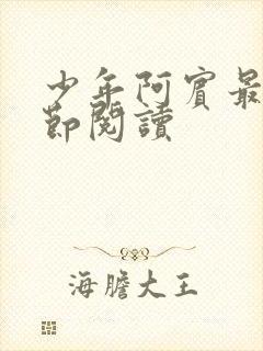 少年阿宾最新章节阅读