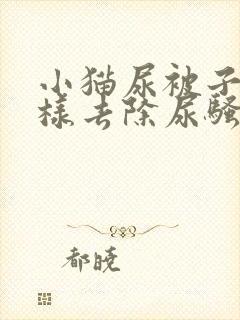 小猫尿被子上怎样去除尿骚味