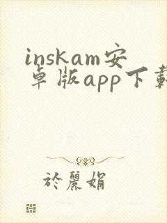 inskam安卓版app下载