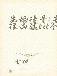 先婚后爱:老公很凶猛txt全文免费下载