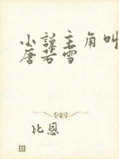 小说主角叫叶凡唐若雪