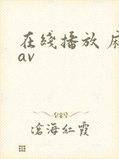 在线播放 麻豆av