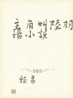 主角叫陆羽的官场小说