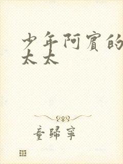 少年阿宾的房东太太