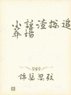 小说渣总追妻火葬场