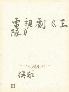 电视剧《王牌部队》