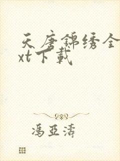 天唐锦绣全本txt下载