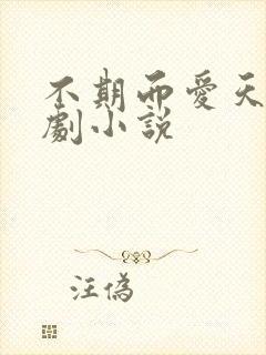 不期而爱天府泰剧小说