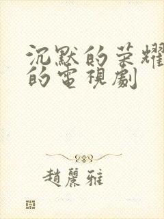 沉默的荣耀类似的电视剧