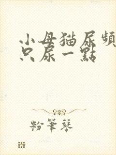 小母猫尿频一次只尿一点