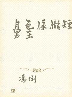 月色朦胧短剧双男主封面