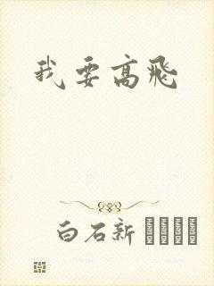 我要高飞封面