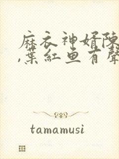 麻衣神婿陈黄皮,叶红鱼有声小说