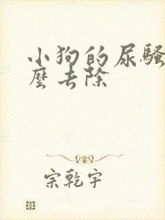 小狗的尿骚味怎么去除