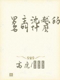 男主沈越的小说名叫什么