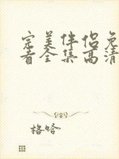 完美伴侣免费观看全集高清版