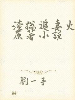 渣总追妻火葬场原著小说封面