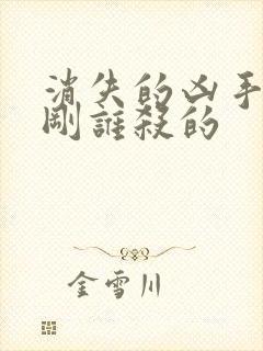 消失的凶手段志刚谁杀的