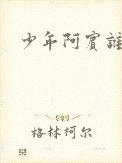 少年阿宾谁写的