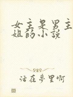 女主是男主的继姐的小说