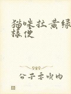 猫咪拉黄绿色水样便