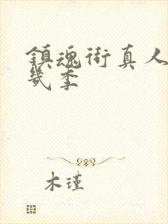 镇魂街真人版有几季封面