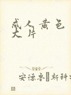 成人 黄 色 大 片封面