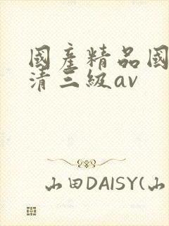 国产精品国产高清三级av