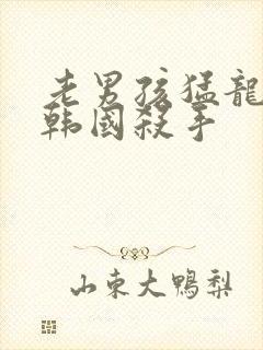 老男孩猛龙过江韩国杀手