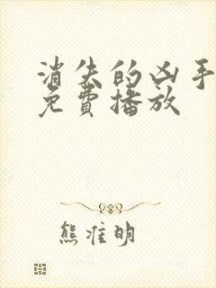 消失的凶手杨莫免费播放